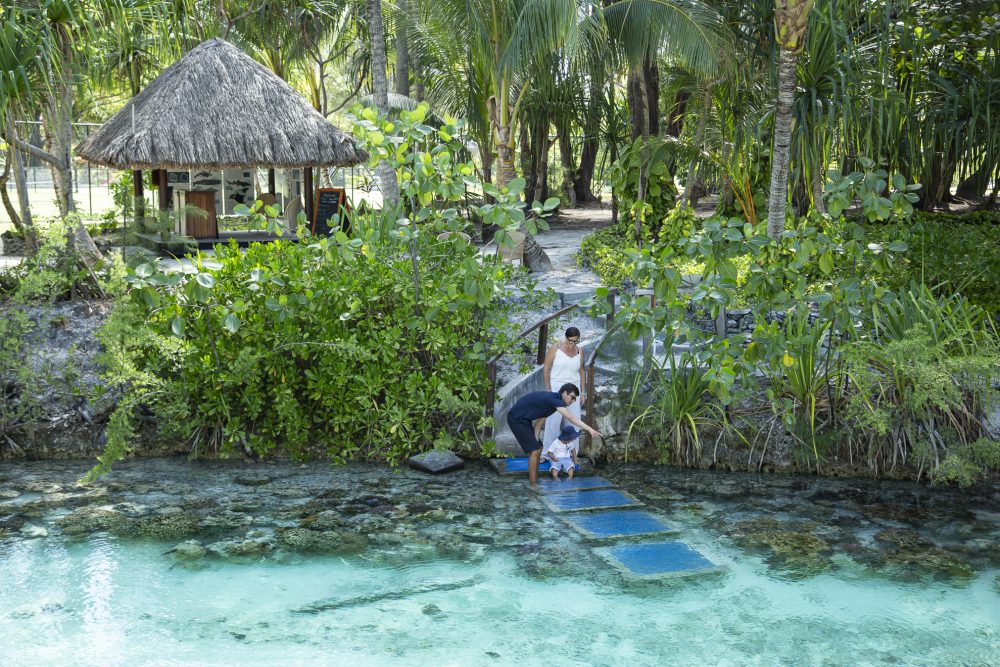 marine biologist and guest looking at coral reefs