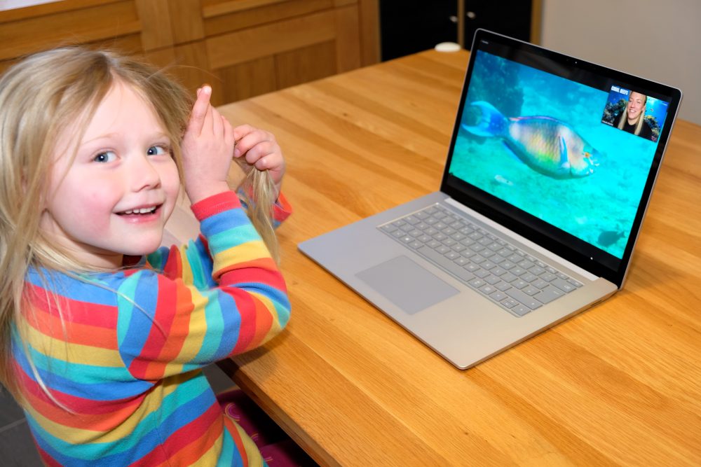 Child homeschooling on laptop