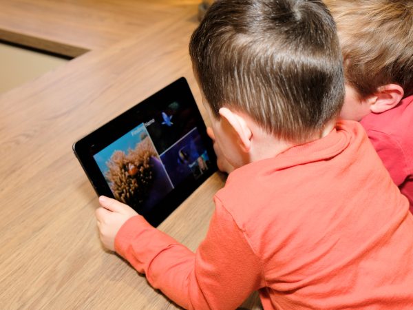 kids taking WiseOceans academy lesson