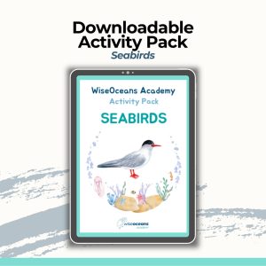 Downloadable Educational Ocean Activity Pack - Seabirds Themed