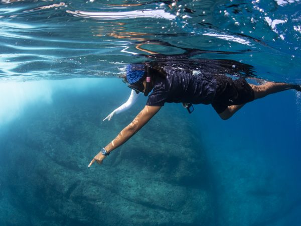 Guided Snorkel with WiseOceans