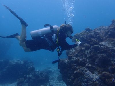 Ashley Harding SCUBA diving