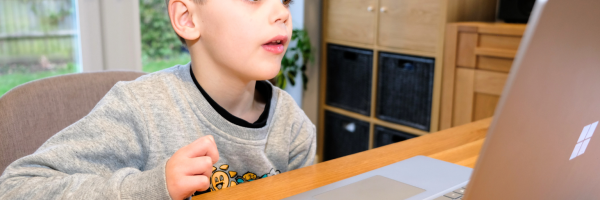 Child looking at a laptop