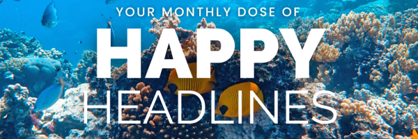 Happy Headlines WiseOceans