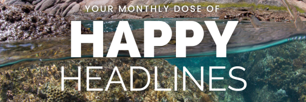 Happy Headlines December 2023