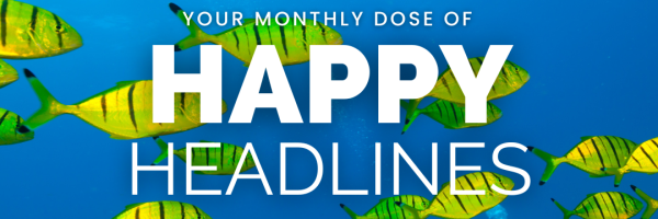 WiseOceans Happy Headlines September 2023