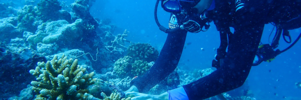 Marc Shellard underwater