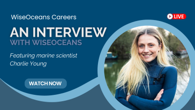 An Interview with WiseOceans Promotion Banner