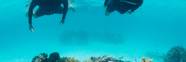Two WiseOceans staff snorkelling in a blue lagoon looking at coral