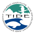 Tide Logo
