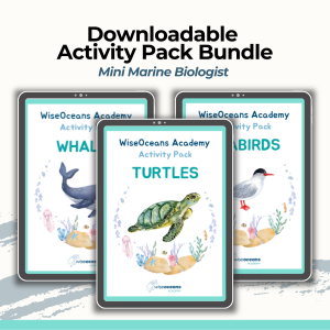 activity pack