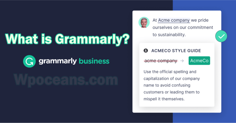 What is Grammarly?